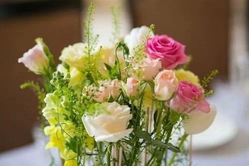 陆徊生陆林生哪里可以看 陆徊生陆林生免费阅读第一章