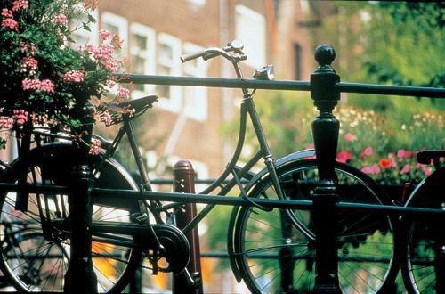 楚雅诗杜璟意林苏杜知砚《和敌蜜成了妯娌以后》小说在线阅读