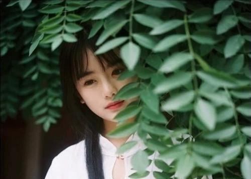 主角名是清越楚连悫楚袅袅全文免费阅读正版