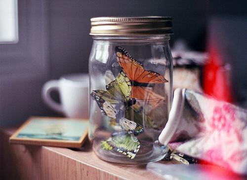 林柔赵海生小说阅读 林柔赵海生全文免费无广告