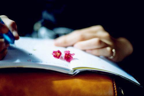 周应辉应晨小说 周应辉应晨全文免费阅读