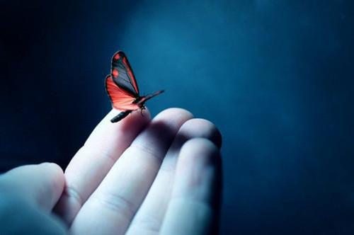 (抖音小说)苏橙陆砚森小说全文阅读免费