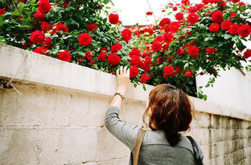 裴如命顾渊第二章 裴如命顾渊小说免费阅读