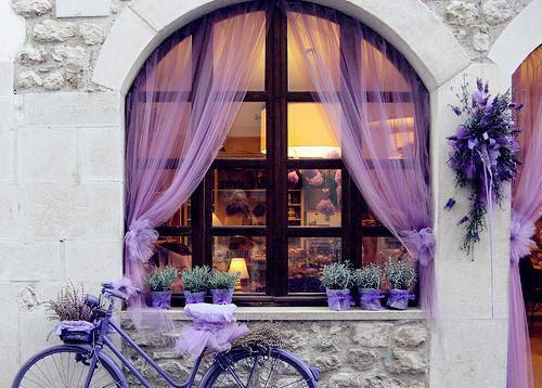 (抖音小说)吴欣李翠静吴强免费阅读第2章