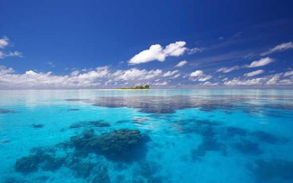 陆野李晓霏小说全免读 陆野李晓霏第7章在线阅读