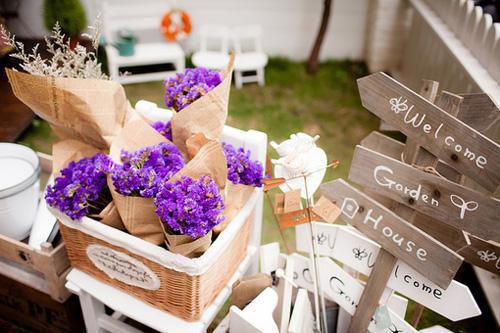 阮虞裴墨宸小说全文免费阅读正版裴墨宸阮虞免费阅读无弹窗