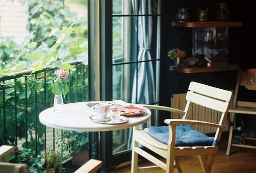 陈诚茜茜无广告阅读 丧偶小说APP内阅读