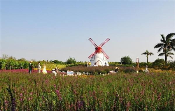 周宴晖杜若小说全文免费阅读 周宴晖杜若最新章节