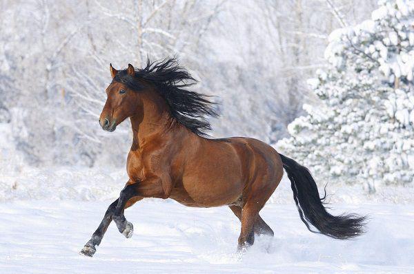 穿成恶毒男配后，妻子逼我离开秦子皓苏婧雪程修远免费章节在线阅读
