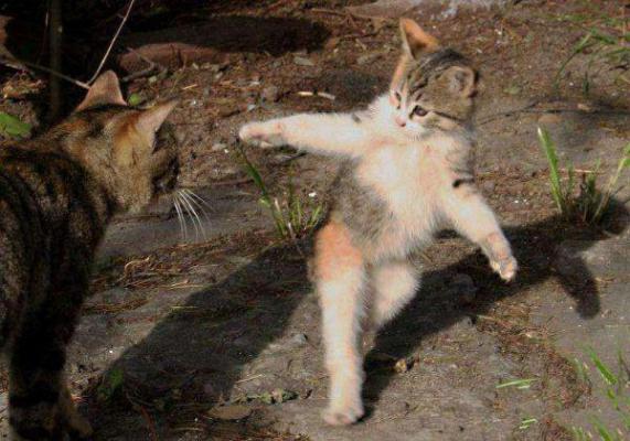 裴前裴民蕾蕾最新章节免费 裴前裴民蕾蕾在线阅读