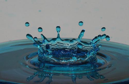 沈明言沈明云成安免费全文 沈明言沈明云成安小说在线阅读