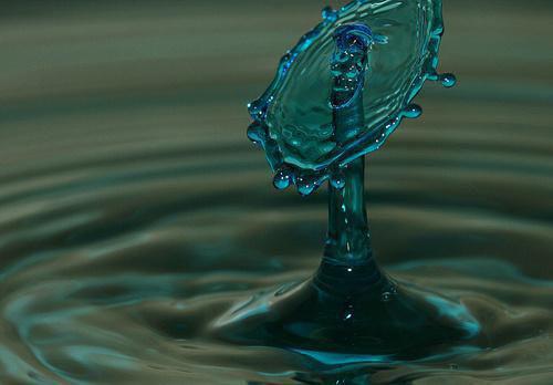 许词宋肆黎歌是啥小说 许词宋肆黎歌免费阅读无广告