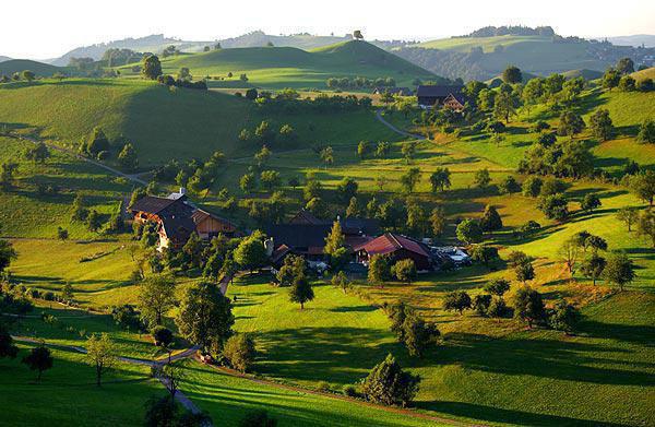 江念薇沈亦白小说 江念薇沈亦白免费章节阅读
