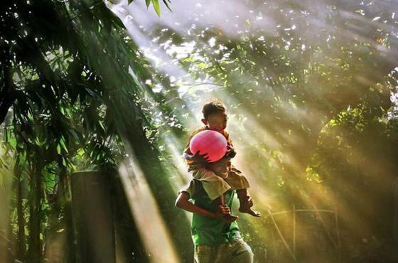 季挽宋屿是啥小说 季挽宋屿免费阅读无广告
