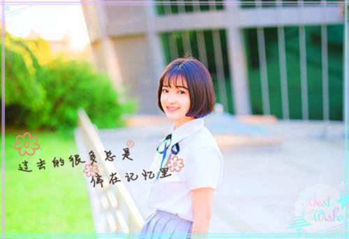 宋离书江宋杨免费小说 宋离书江宋杨全文阅读目录