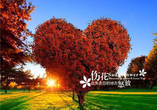 琳琅陆岑林柒免费全本小说 琳琅陆岑林柒章节目录