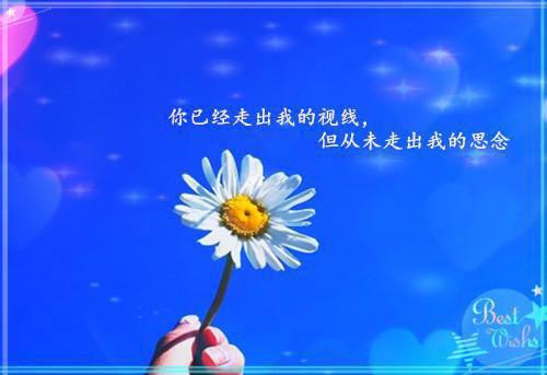 楚琼明珠小说名字免费 暴君能听到我的心声章节阅读