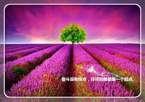 为了平定战乱，要送一位公主去塞外荒漠和亲，我就是那个幸运儿最新更新 锒华小鸢免费读