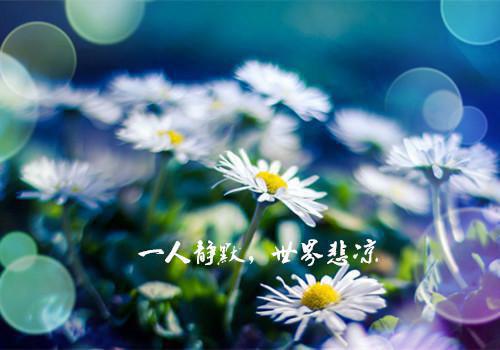 一叶景舟30章在线阅读 傅景舟顾安洛宁免费小说精彩章节