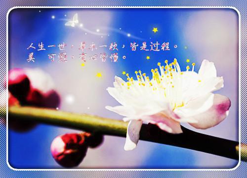 (完整版)沈清怡陆怀洲小说免费阅读无广告