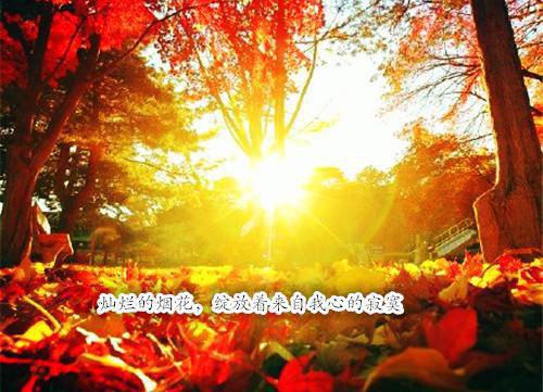 【新书】《欧阳卿顾越泽》全文免费阅读无弹窗大结局-欧阳卿顾越泽全章节免费阅读