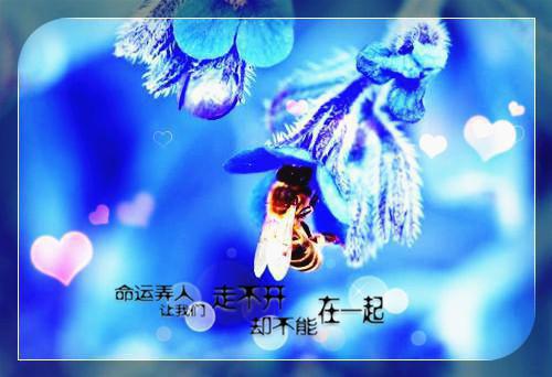 江彻免费全文 江彻小说在线阅读