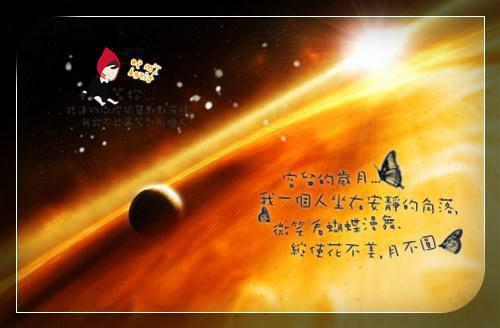 主角是唐曼安龙煜泽的小说免费阅读全文大结局