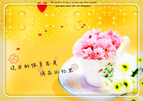 江天文江染张洁琳小说 江天文江染张洁琳完整版免费阅读