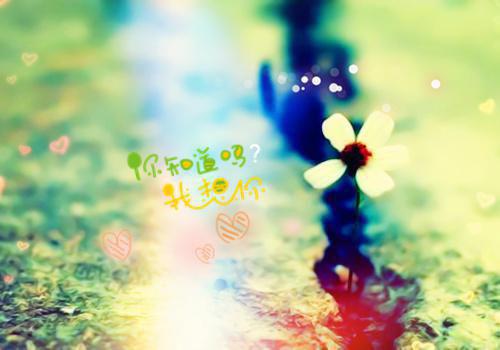 主角叫许清涟梁宥礼的小说 逃往春天盛开花的地方在线免费阅读