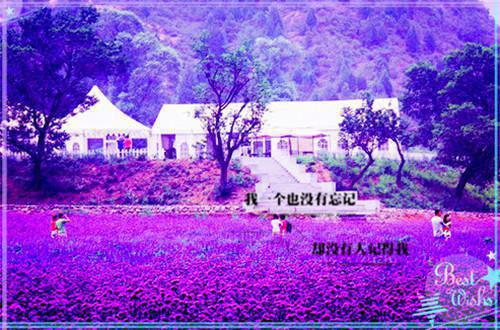 (番外)+(全文)安以夏盛司聿（迟冬不赴春+结局+番外）完整全文在线阅读_安以夏盛司聿免费阅读最新章节列表（迟冬不赴春+结局+番外）