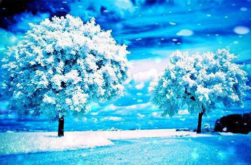 谢凡免费大结局 终极领域完结小说