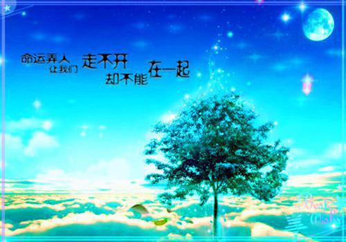 慕南乔鹿祈祈（鹿祈祈）精彩小说 小说鹿祈祈全文无删减版免费阅读