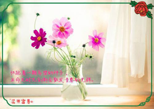 傅浔之阮梨（阮梨傅浔之最新章节）在线阅读-免费小说傅浔之阮梨全文阅读