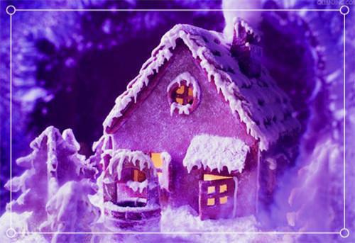 齐晓晓魏强的小说 齐晓晓魏强全文免费阅读