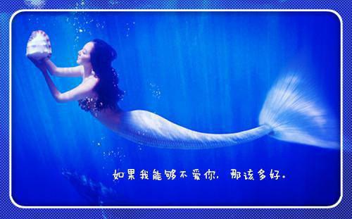 沈妤苒顾屿琛免费小说 沈妤苒顾屿琛全文阅读目录