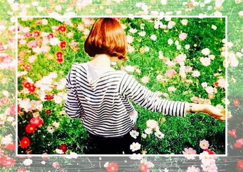 李峰小说在线阅读 李峰最新章节目录