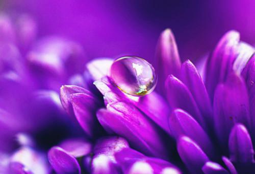 司岚沈幸严清是什么书 司岚沈幸严清免费章节在线阅读