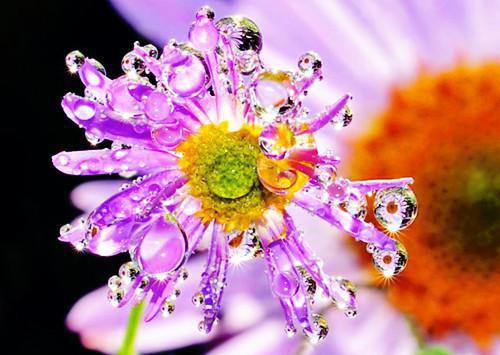 黎清瑶季时煜全文（季时煜黎清瑶）完结阅读无弹窗大结局_黎清瑶季时煜全文免费阅读最新章节列表（季时煜黎清瑶）