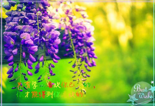 夏树小说章节免费阅读 夏树无弹窗