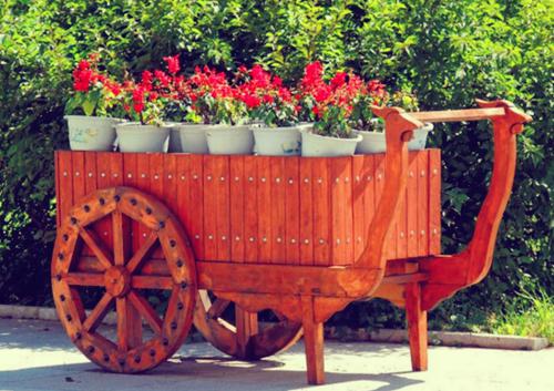 梁朝肃连城梁文菲白瑛全文免费无弹窗 哄骗禁欲大佬后她死遁了章节试读