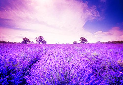 我彻底摆烂后父母不着急后续小说全集 姜承乔云凯完整版在线阅读