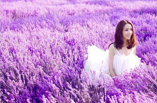 安娜陈雅张成微信公众号内阅读女荷官的秘密最新章节