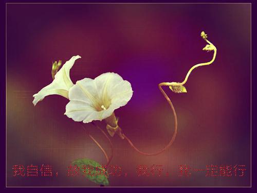 陈磊张曼玉李慧最后结局 陈磊张曼玉李慧完结版免费阅读