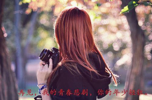 陈莘陈晟善华小说 陈莘陈晟善华免费全文阅读