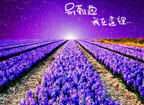 赵崇往叶朝殷大结局在线阅读 素人大战格莱美全本免费看