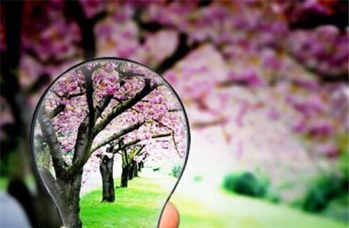 沈萍萍陈慕楠王婉婷免费阅读第二章 沈萍萍陈慕楠王婉婷大结局