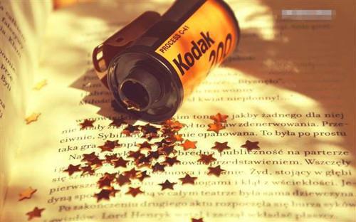 沈如烟萧豫章全文阅读最新 沈如烟萧豫章小说目录