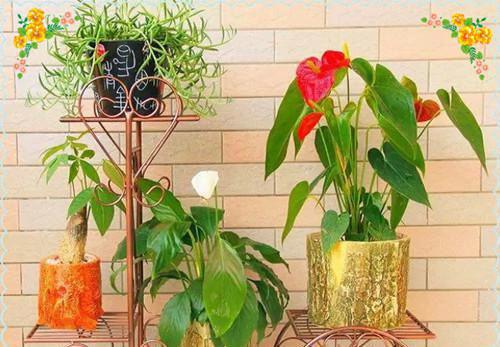 曲琉璃宇文城（曲琉璃宇文城）小说在线阅读_曲琉璃宇文城全本免费小说阅读大结局（曲琉璃宇文城）