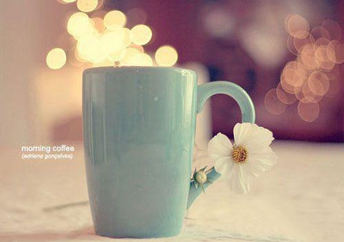 张梦蕊郑杰哪里可以看 张梦蕊郑杰免费阅读第1章