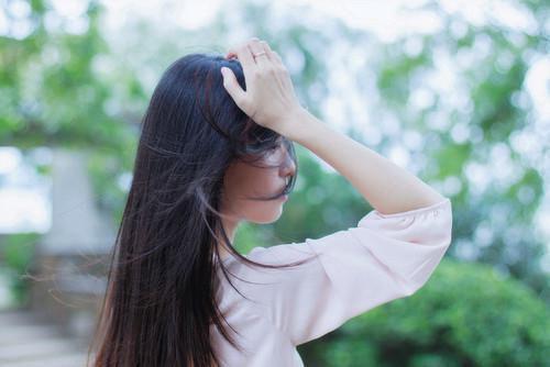 互换灵兽，废猫竟然招财万物全文免费阅读 林婉儿碧霄小说最新章节